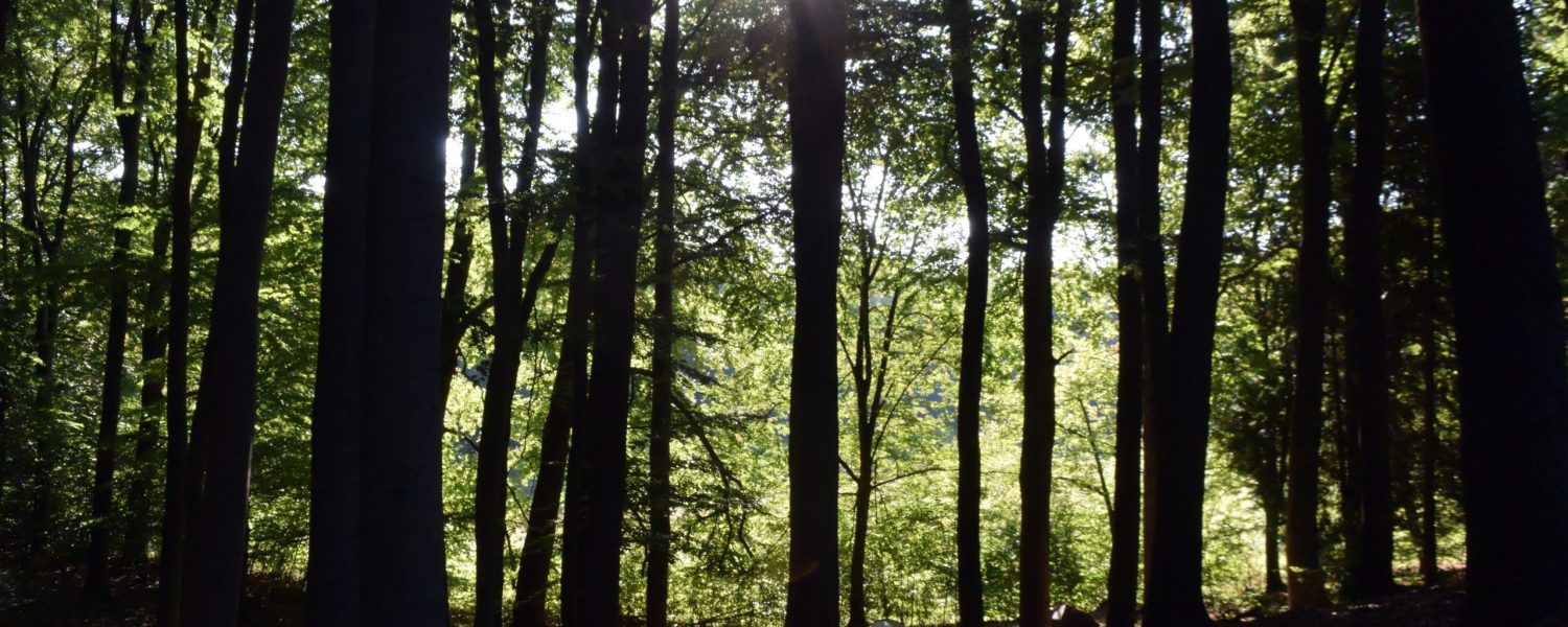 NAWACANO Sept. 2025 (134)